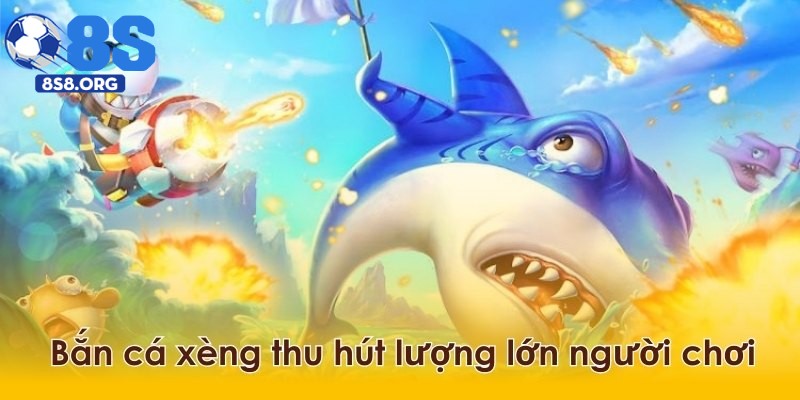 Cuộc phiêu lưu đại dương bắt đầu từ một cú click