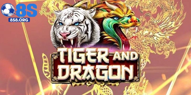 Hướng dẫn tham gia Rồng Hổ tại 8S