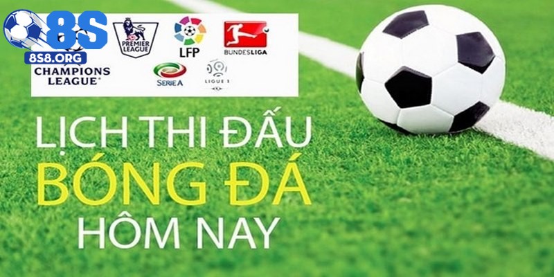 Những thể loại thể thao bạn có thể theo dõi tại 8S