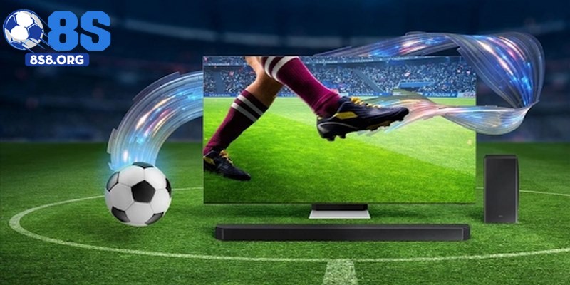 Theo Dõi Tin Tức Thể Thao Mới Nhất Mỗi Ngày Tại 8S