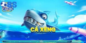 Bắn Cá Xèng Đổi Thưởng Siêu Hấp Dẫn Tại Trang Chủ 8S