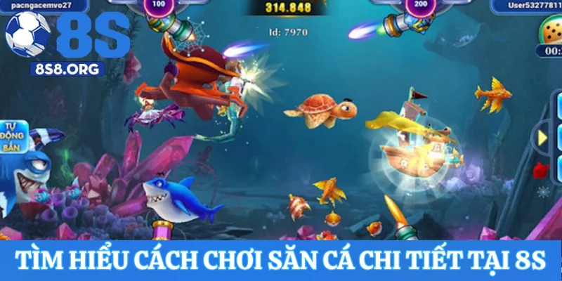 Tìm hiểu cách chơi săn cá chi tiết tại 8S